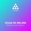 Cesar de Melero - Work Me God Damm It - Single